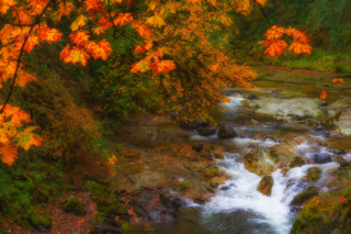 Fall foliage at one of the stops you can explore along the McKenzie Pass byway.